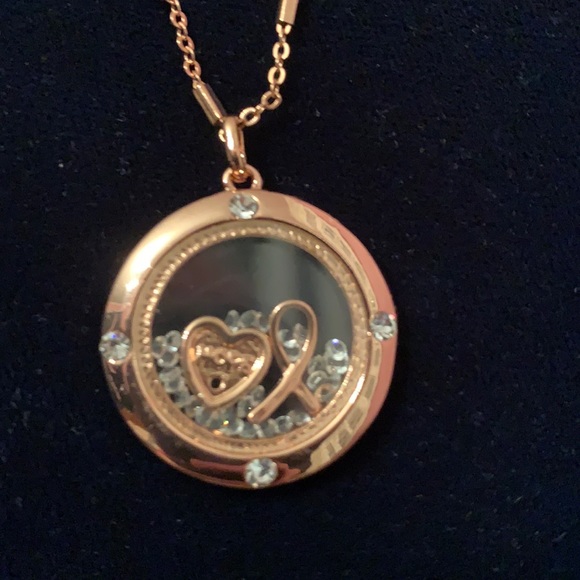 Lane Bryant Jewelry - Cancer Awareness Ribbon Necklace
